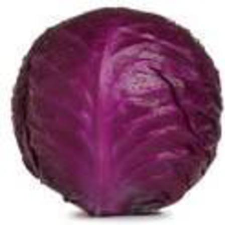 Cabbage Red - Whole