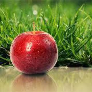 Sign up seasonal just fruit box