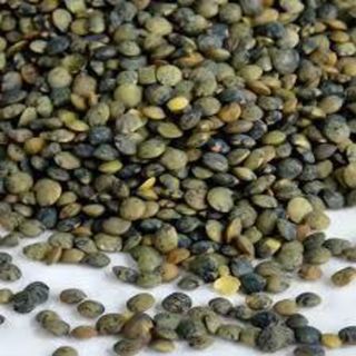 Lentils dupuy 500g