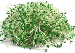 Broccoli sprouts - 50g