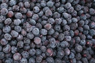 OOB Frozen Blueberries 500g