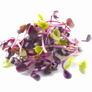 Micro mix sprouts 60g