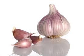 Garlic - NZ