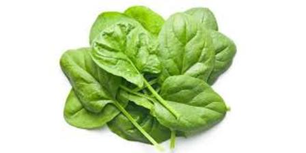 Baby Spinach 100g