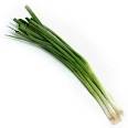 Spring Onion - Bunch