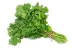 Coriander - Abundant Backyard 70g