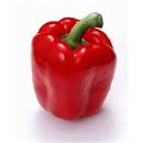 Capsicum - Red