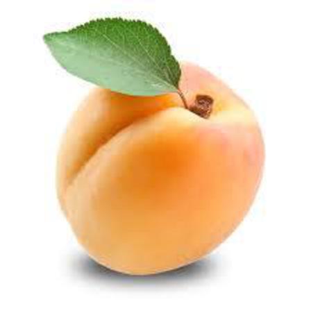 Apricots 500g