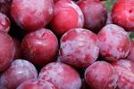 Plums - Red beauty  500g