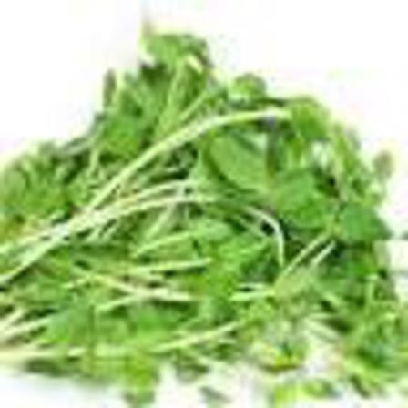 Sprouts - Pea Shoots 50g