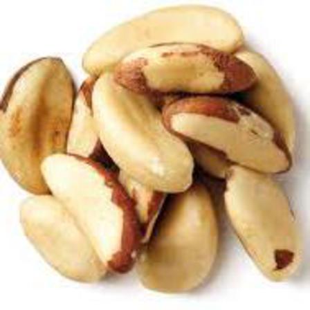 Brazil Nuts