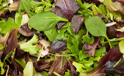 Salad mix 150g - Lux Organics