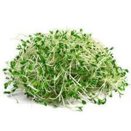 Alfalfa sprouts 70g