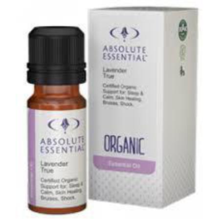 Absolute Essential Oil - Lavender True