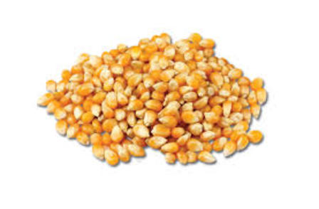 Popping corn 1kg