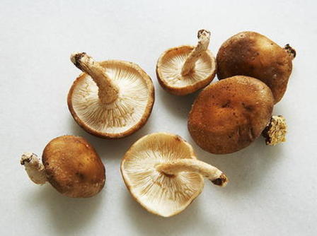 Mushrooms - Shiitake 100g