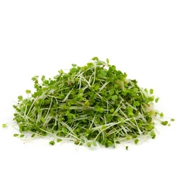 Sprouts - Micro Rocket 50g