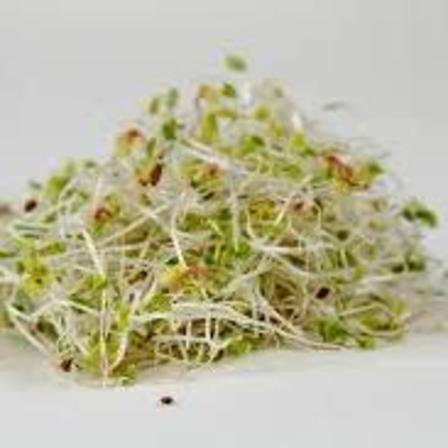 Sprouts - Vitality Blend 75g