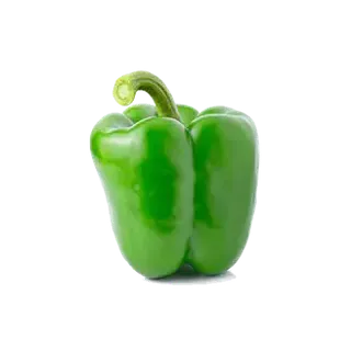 Capsicum - Green